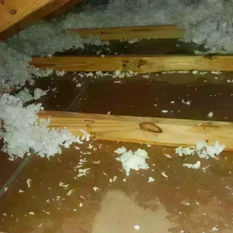 Attic Water Damage in Turner, OR