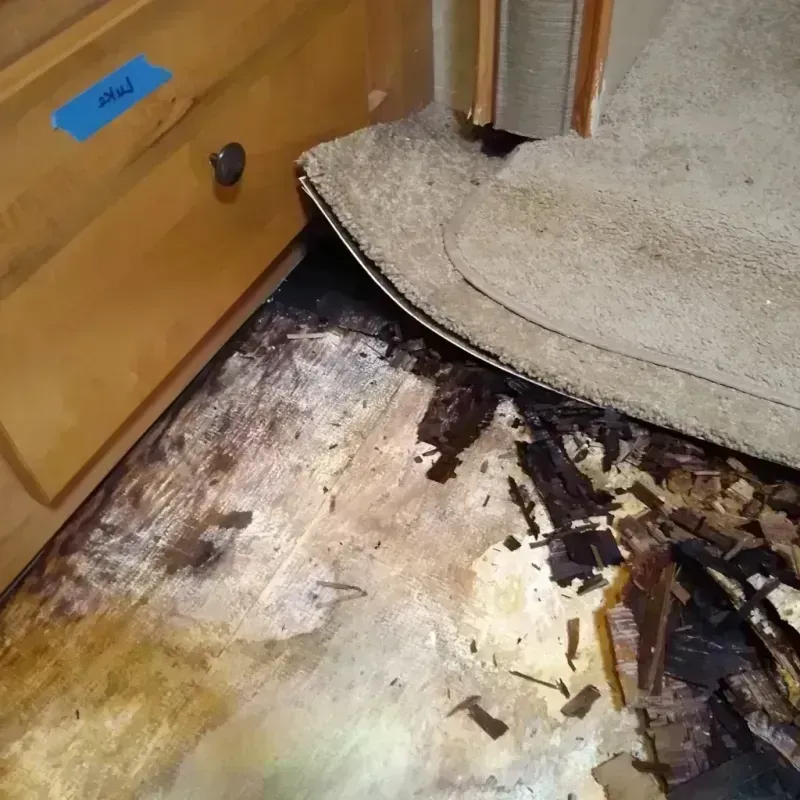 Wood Floor Water Damage in Turner, OR